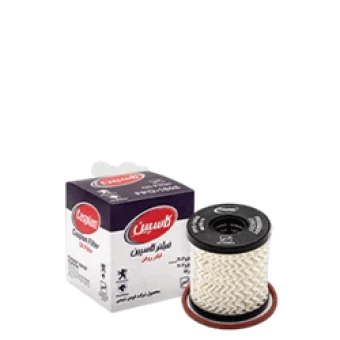 فيلتر روغن پژو 206 كوتاه زیگزاگی كاسپين کد 11219008